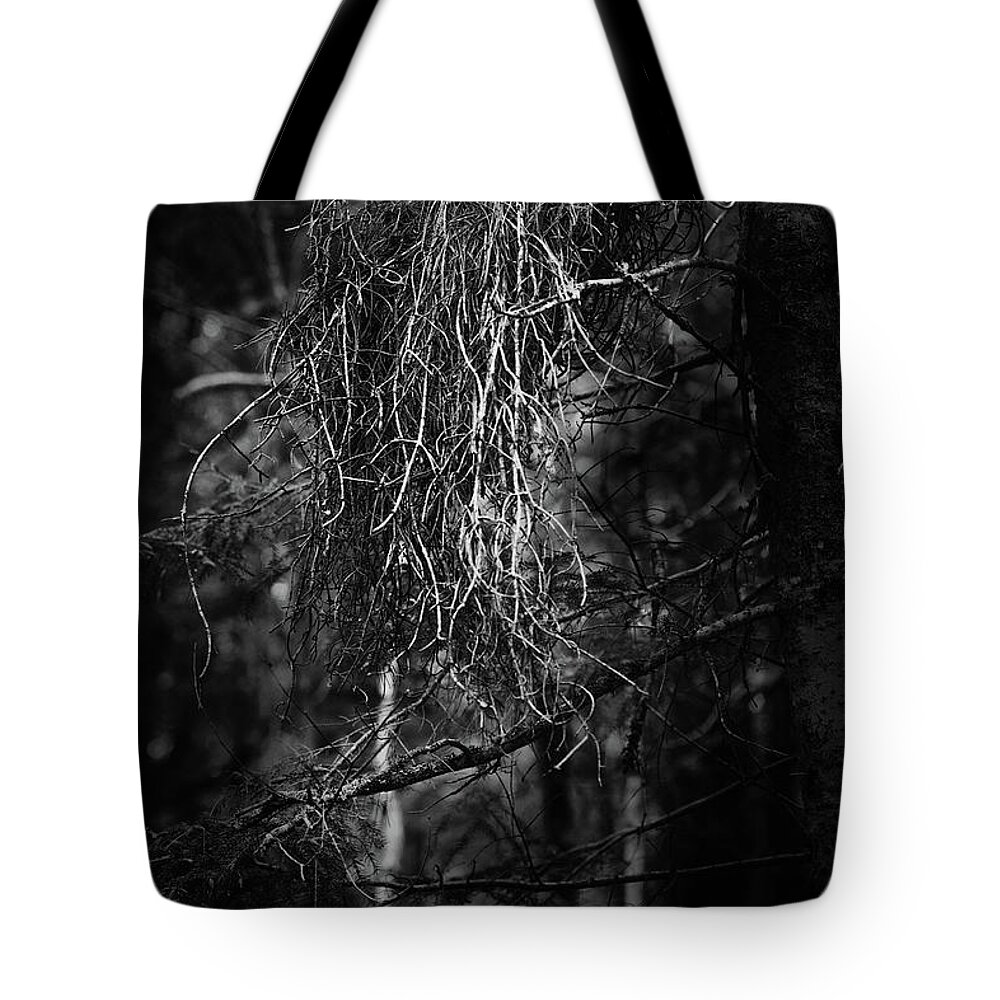 Nature Tote Bag featuring the photograph Witches Broom by Sue Capuano
