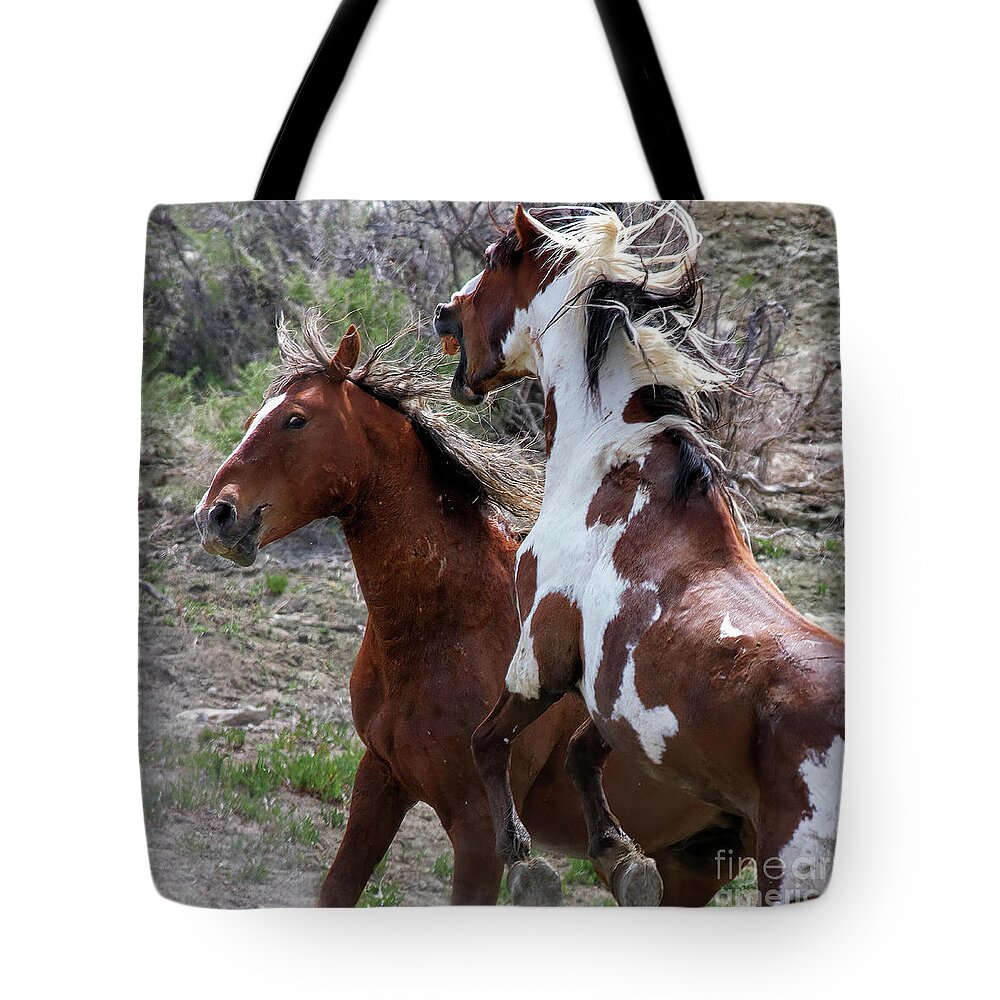 Picasso. Sandwash Basin Tote Bag featuring the photograph With Prejudice by Jim Garrison