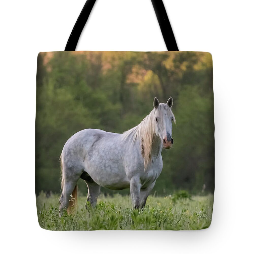 Wild Horse Tote Bag featuring the photograph With the Spirit of the Wild by Holly Ross