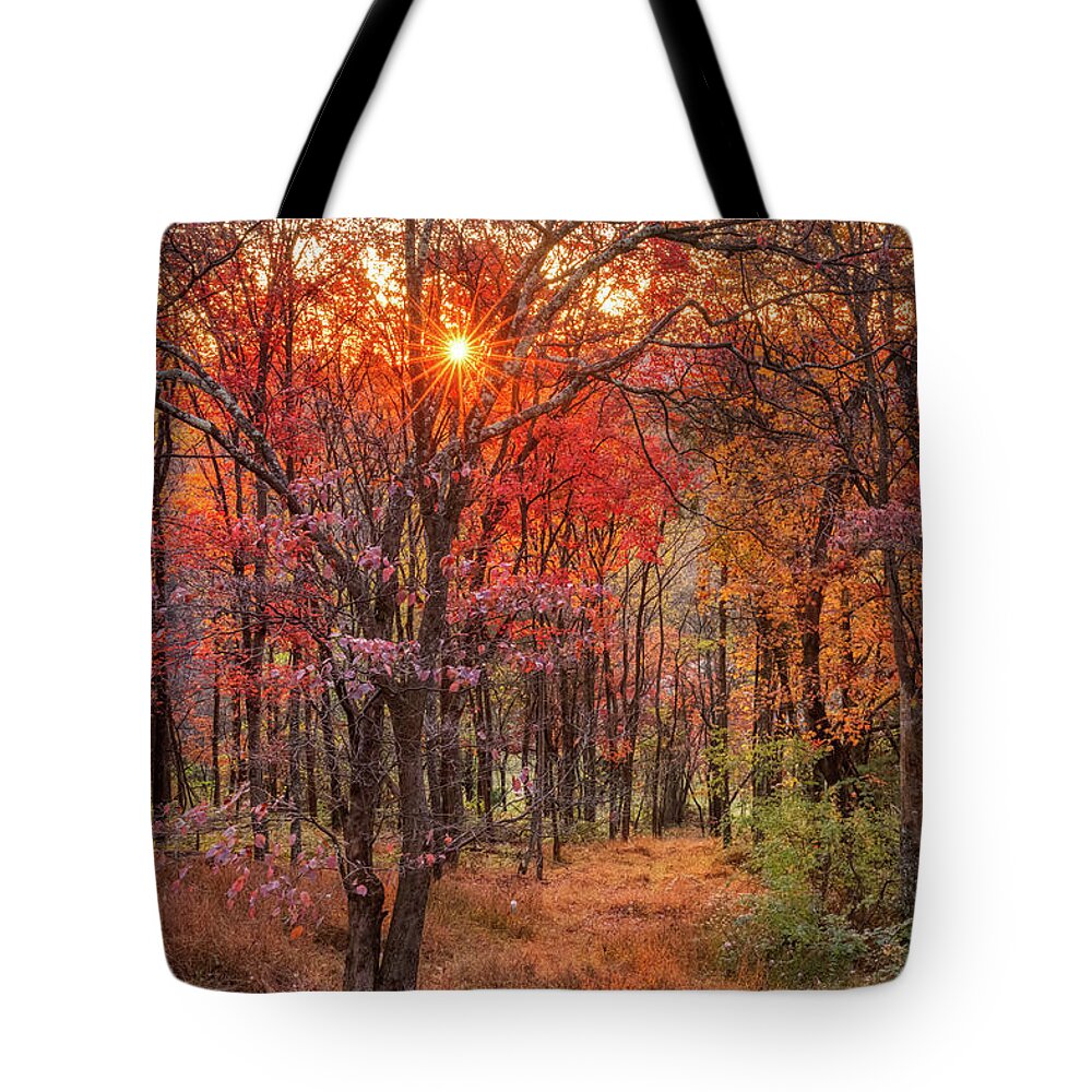 Canon Tote Bag featuring the photograph Witts Peak Sunrise by Donna Twiford