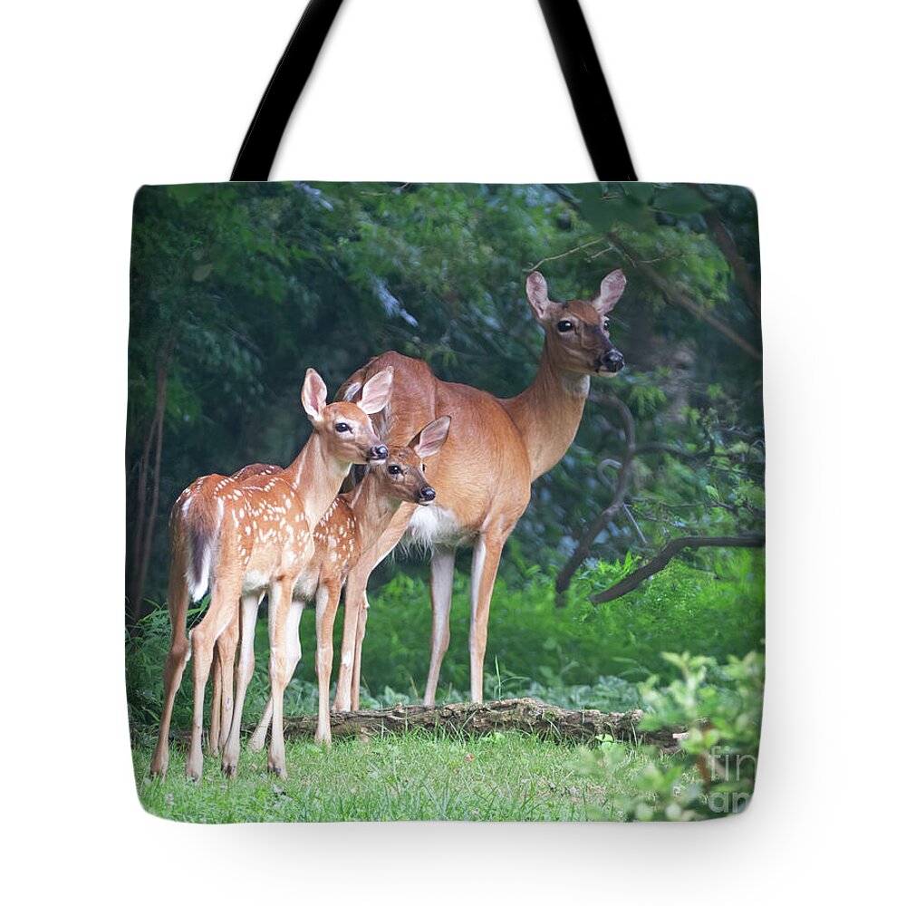 Deer Tote Bag featuring the photograph Won't You Be My Neighbors? by Chris Scroggins