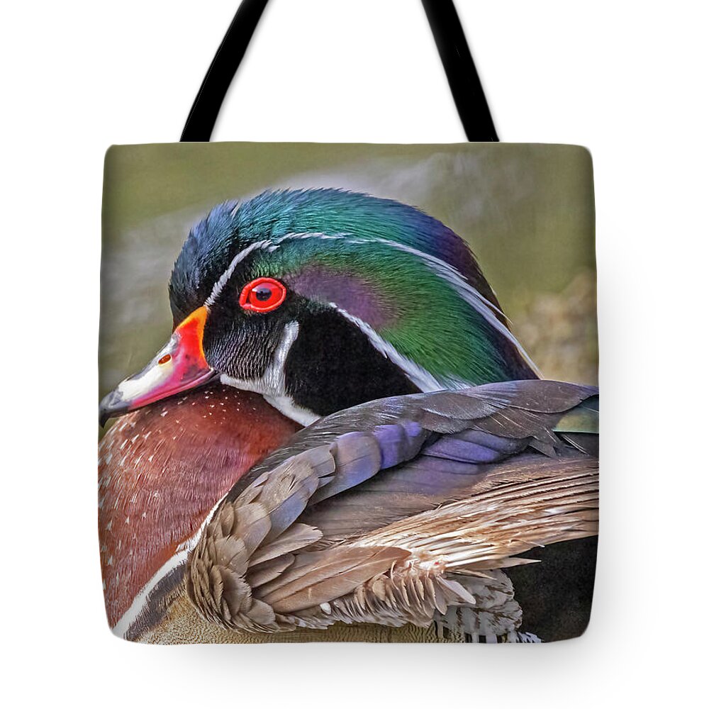 Wood Duck Tote Bag featuring the photograph Wood Duck #1 by Carla Brennan