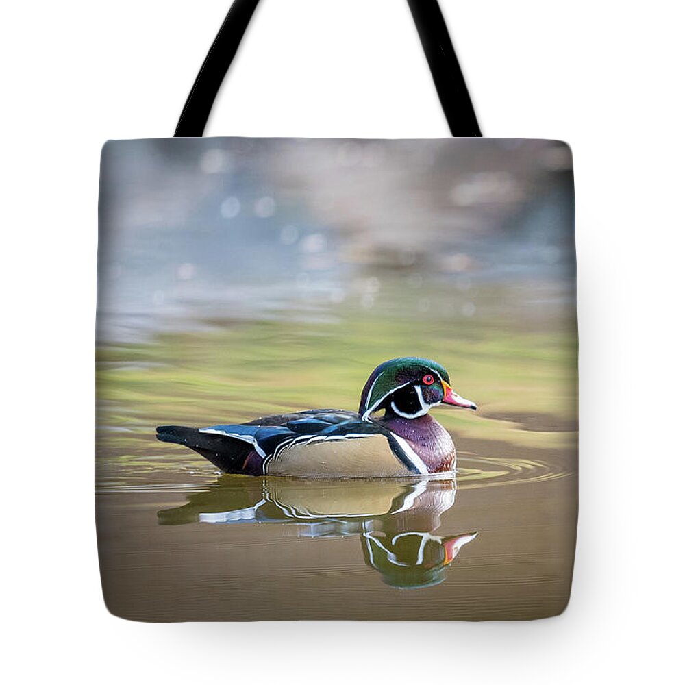 Wood Duck Tote Bag featuring the photograph Wood duck 1 by Stephen Holst