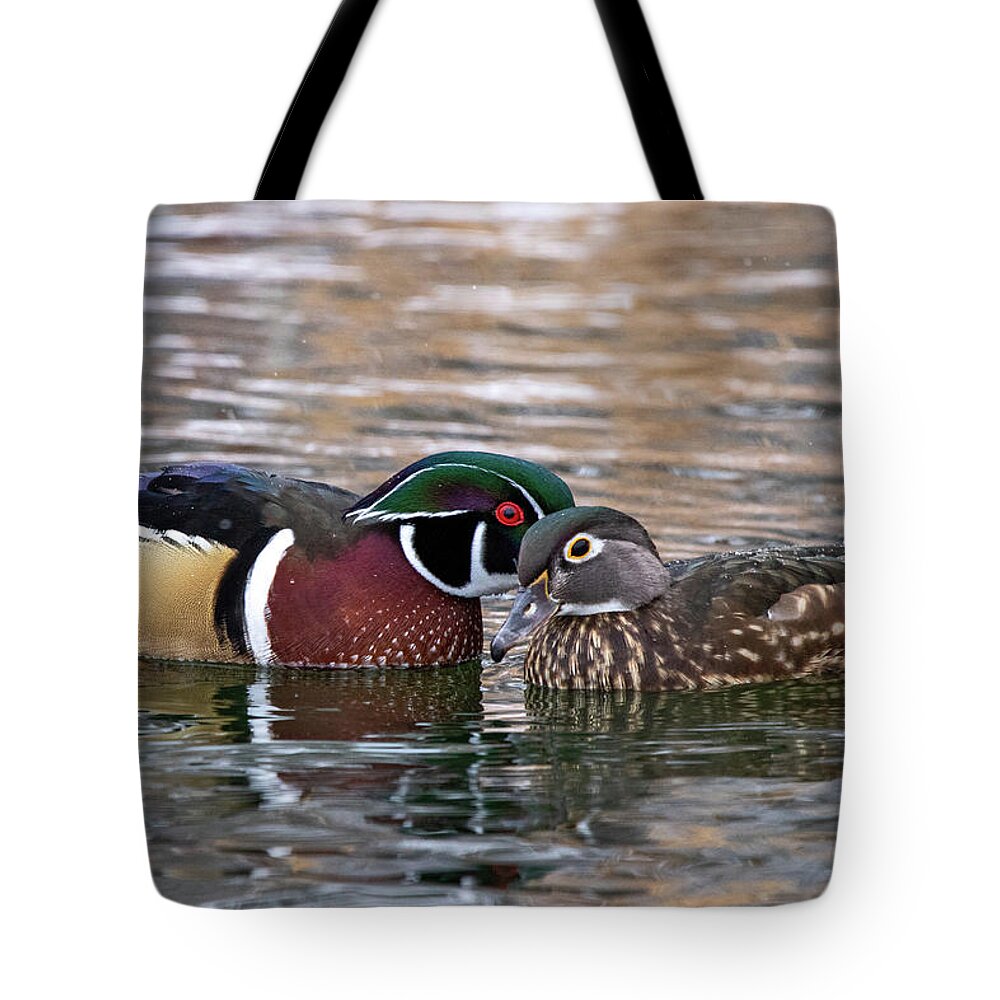 Wood Ducks Tote Bag featuring the photograph Wood Duck Pair by Wesley Aston