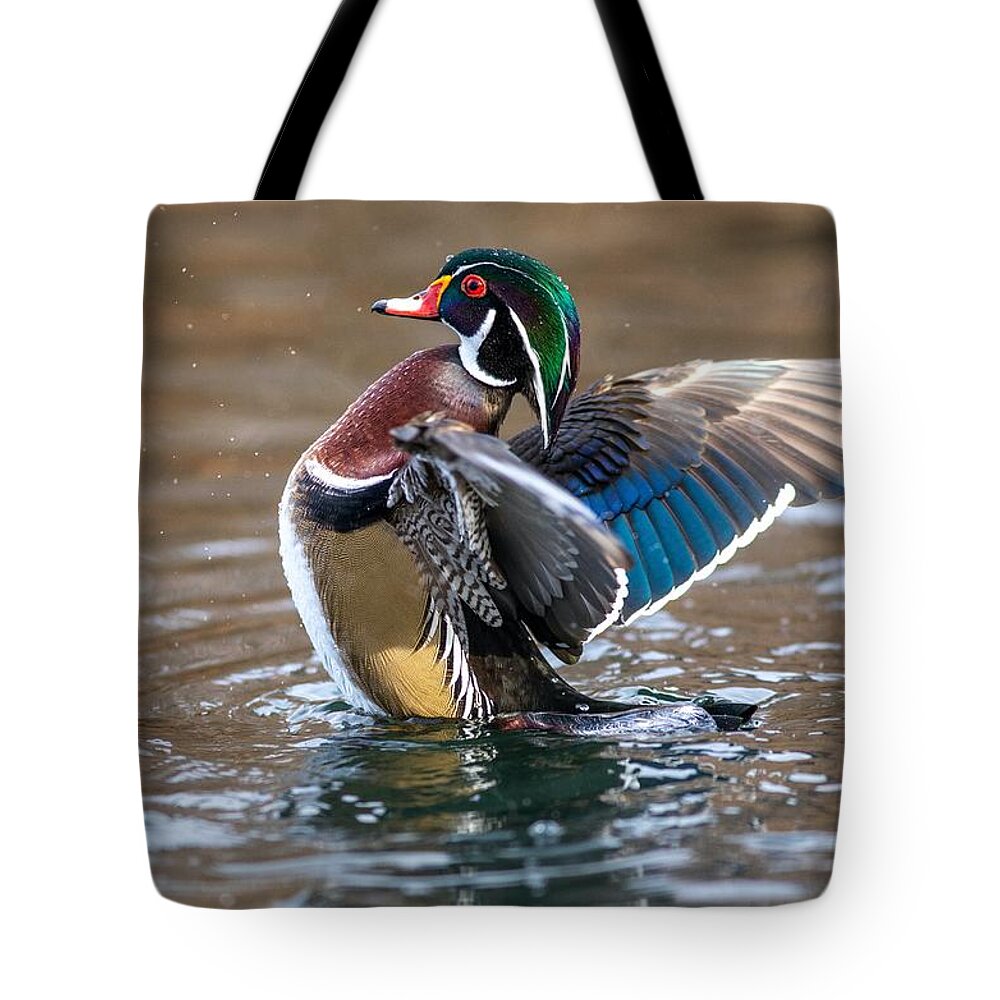 Wood Duck Splash Tote Bag featuring the photograph Wood duck splash by Lynn Hopwood