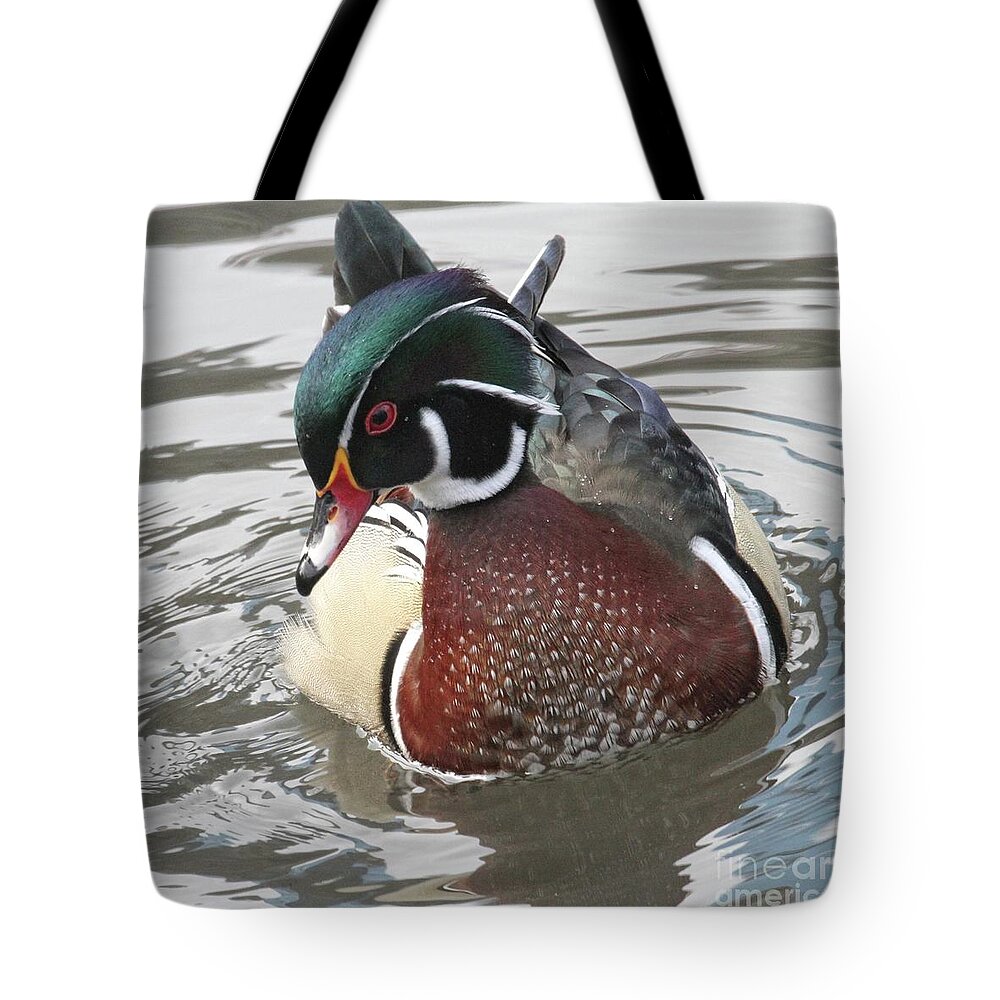  Tote Bag featuring the photograph Wood duck Two by Patricia Youngquist