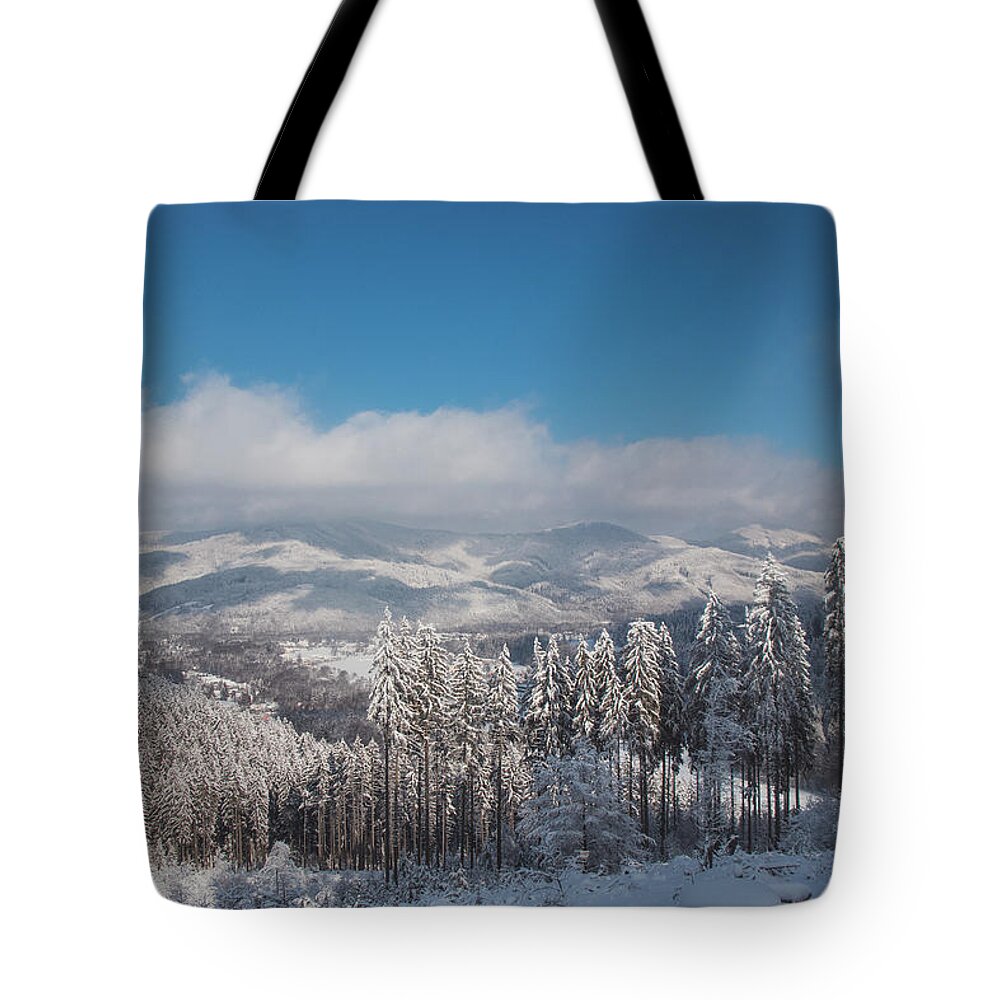Spruce Tote Bag featuring the photograph Wooded land covered with snow by Vaclav Sonnek