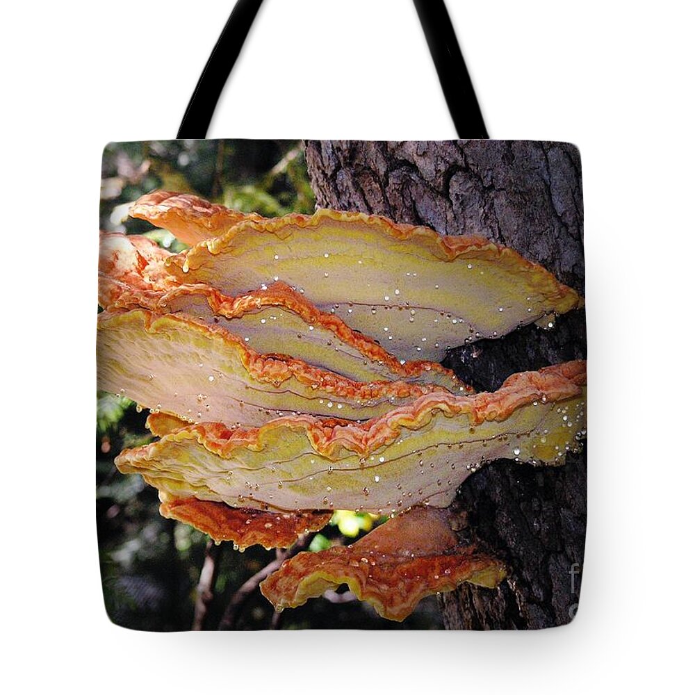 Fungus Tote Bag featuring the photograph Woodland Art by Kimberly Furey