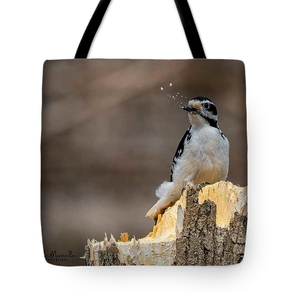 Woodpecker Tote Bag featuring the photograph Woodpecker's Lunch by Regina Muscarella