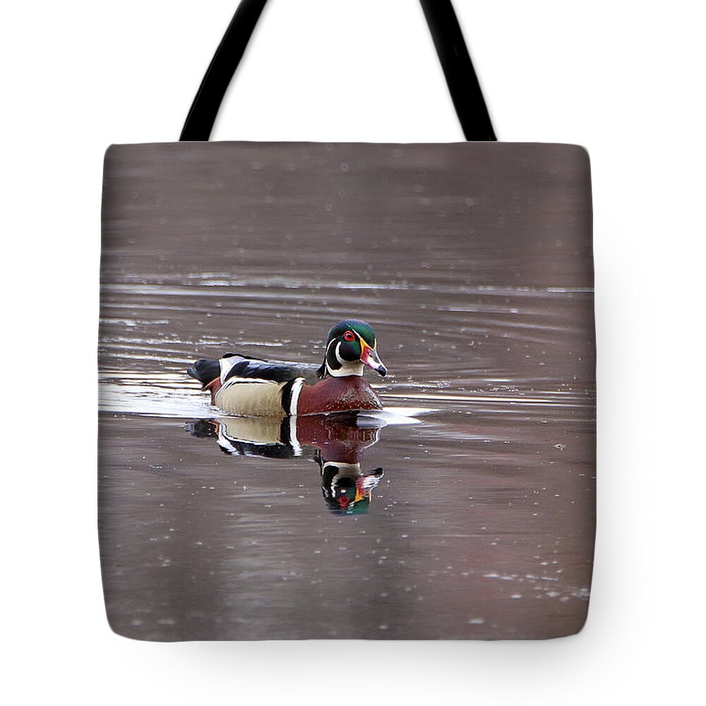 Woody Tote Bag featuring the photograph Woody Playing by David Kipp