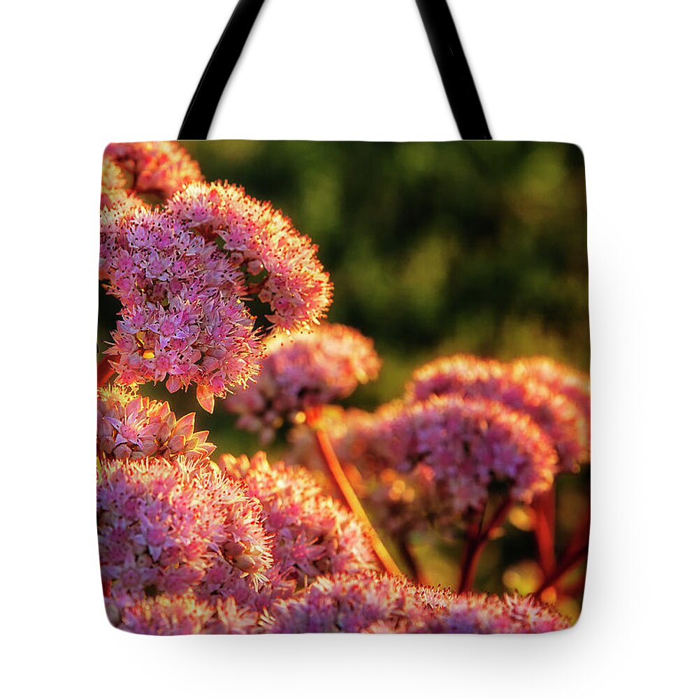 September Tote Bag featuring the photograph Working at Sunrise by Steve Sullivan