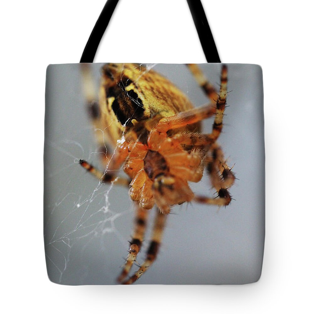 Spider Tote Bag featuring the painting Working spider by Sv Bell