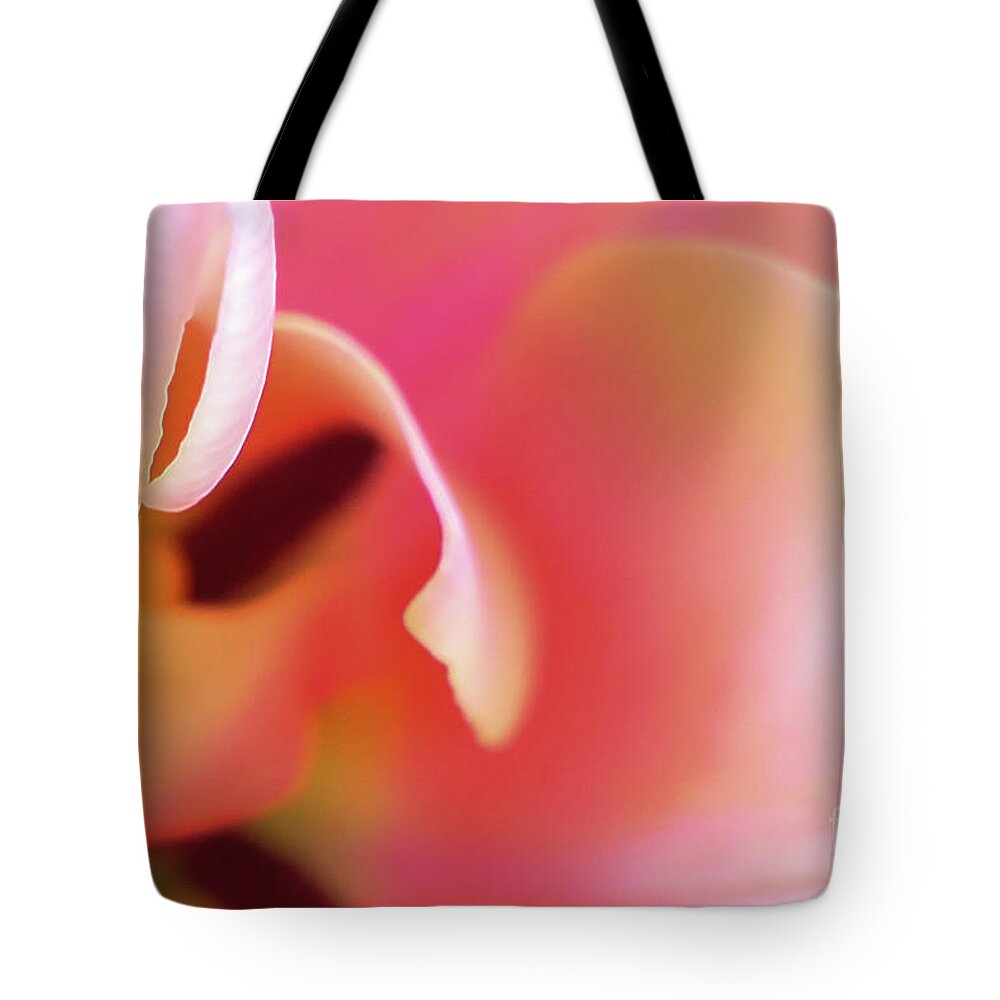 Pink Tote Bag featuring the photograph Wrapped in Pink by Bentley Davis