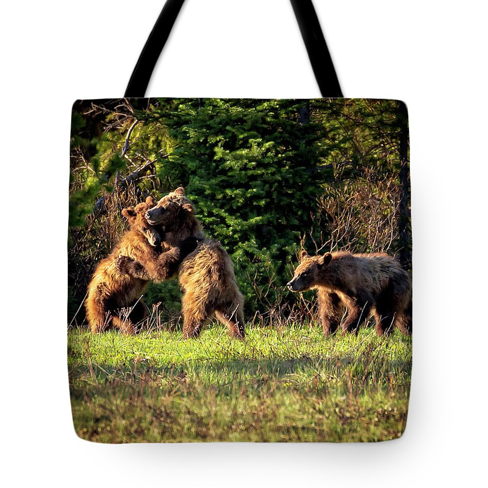 Gary Johnson Tote Bag featuring the photograph Wrestling Bears by Gary Johnson