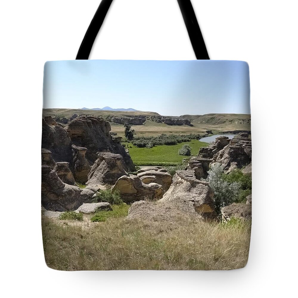 Writing On Stone Tote Bag featuring the photograph Writing on Stone 4 by Lisa Mutch