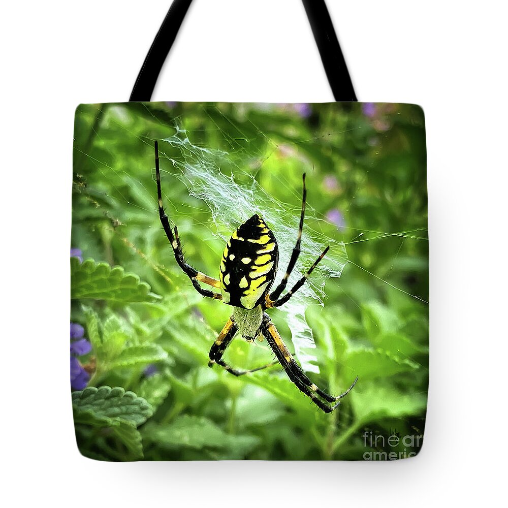 Spider Tote Bag featuring the photograph Writing Spider Writing by Lois Bryan