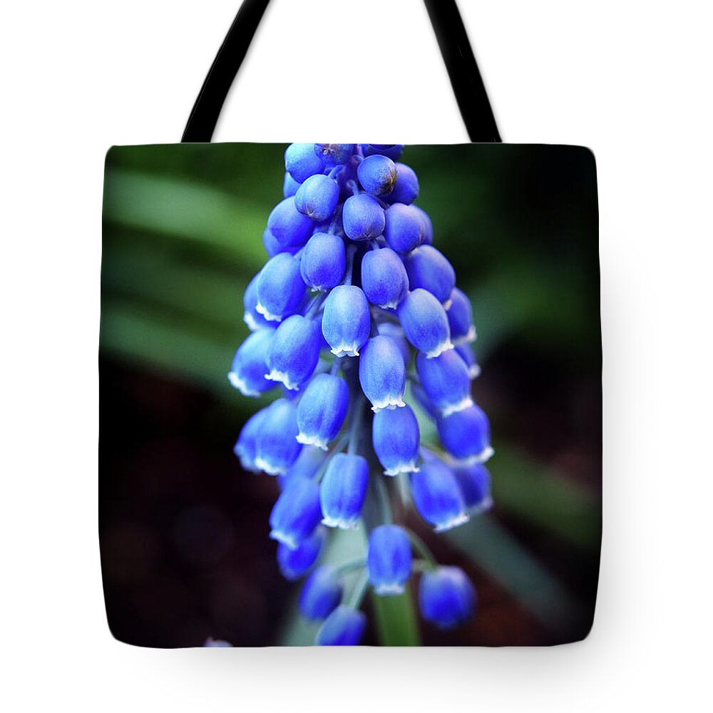 X230410-119 Tote Bag featuring the photograph X230410-119 by Dorothy Lee
