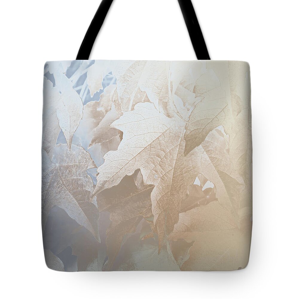 Ages Of Middle Earth Tote Bag featuring the photograph XIV - Fair Realm by John Emmett