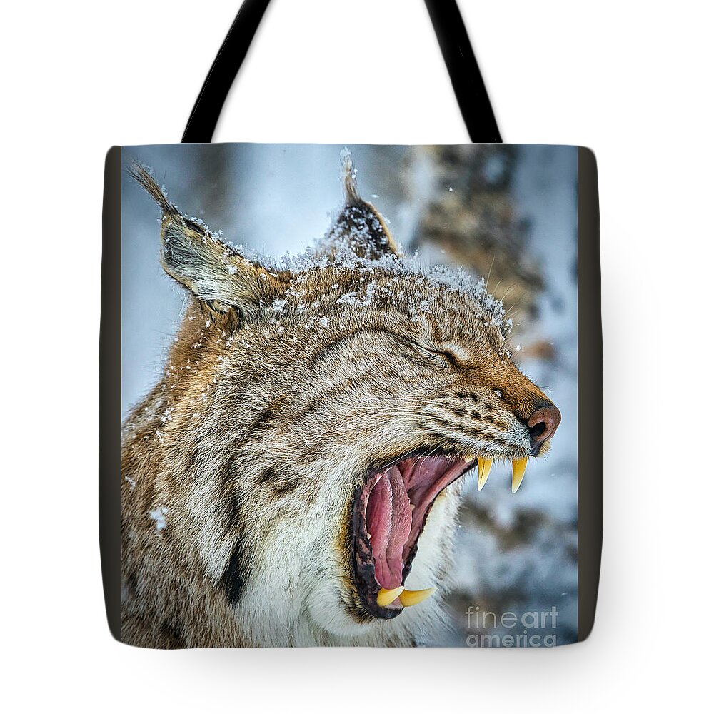 Lynx Tote Bag featuring the photograph Yawning Face by Sal Ahmed