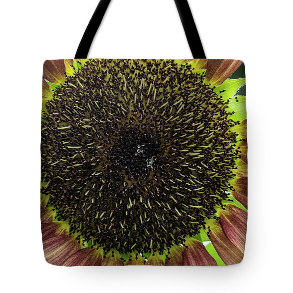 Yellow Red Flower Tote Bag featuring the photograph Yellow and Red Flower by David Morehead