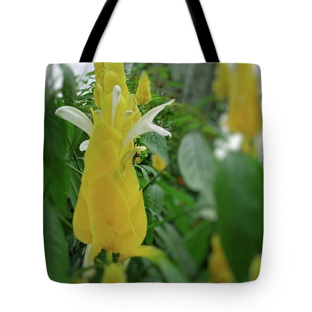 Yellow Tote Bag featuring the photograph Yellow Blooms of Spring by Pour Your heART Out Artworks