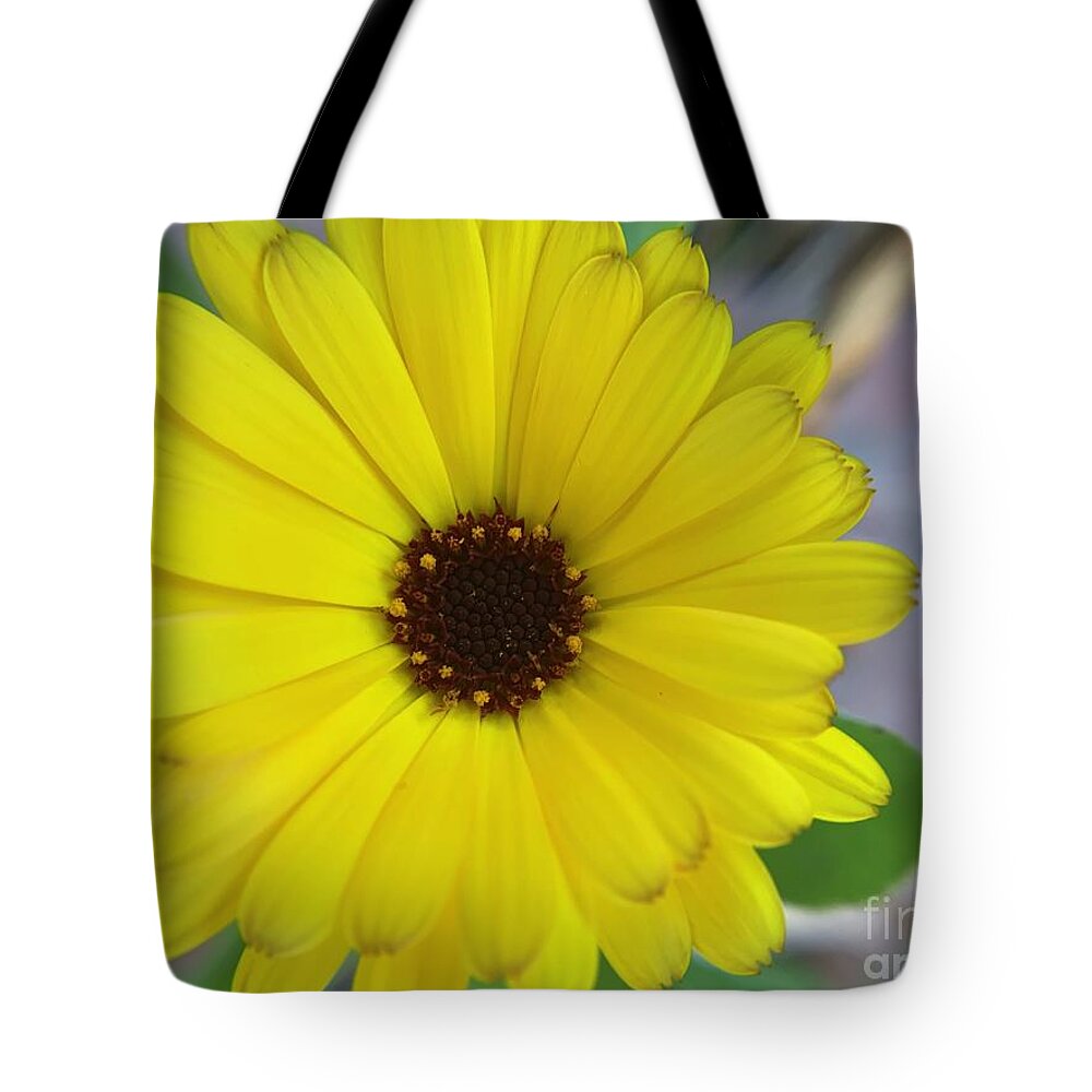 Sunflower Tote Bag featuring the photograph Yellow Bright Flower by Catherine Wilson