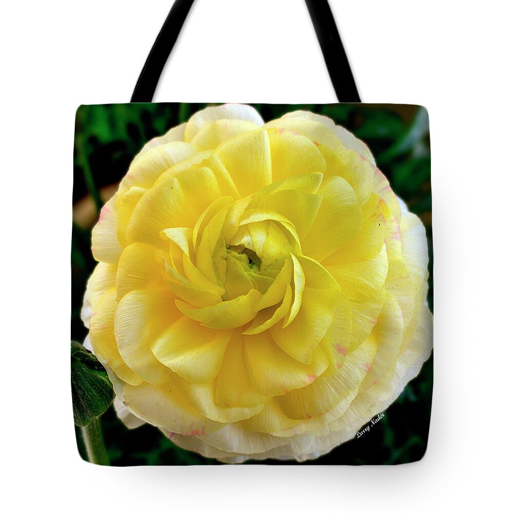 Plants Tote Bag featuring the digital art Yellow Buttercup by Larry Nader
