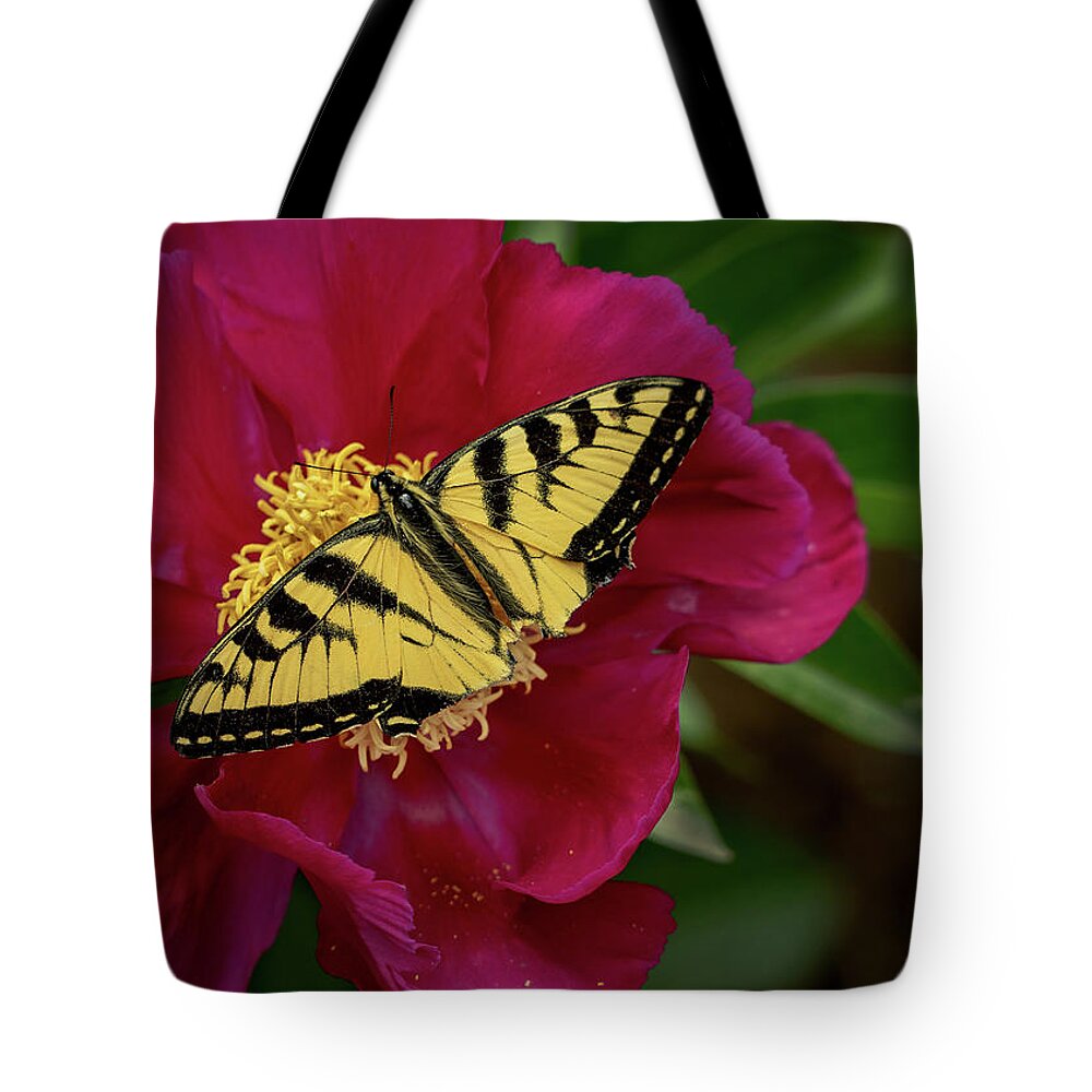 Butterfly Tote Bag featuring the photograph Yellow Butterfly on Red Flower by Phil Cardamone