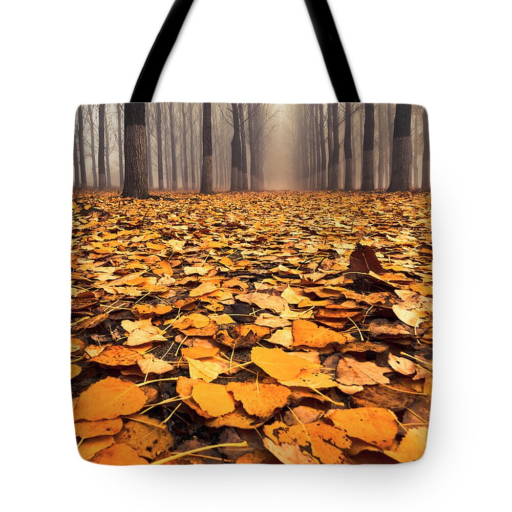 Bulgaria Tote Bag featuring the photograph Yellow Carpet by Evgeni Dinev