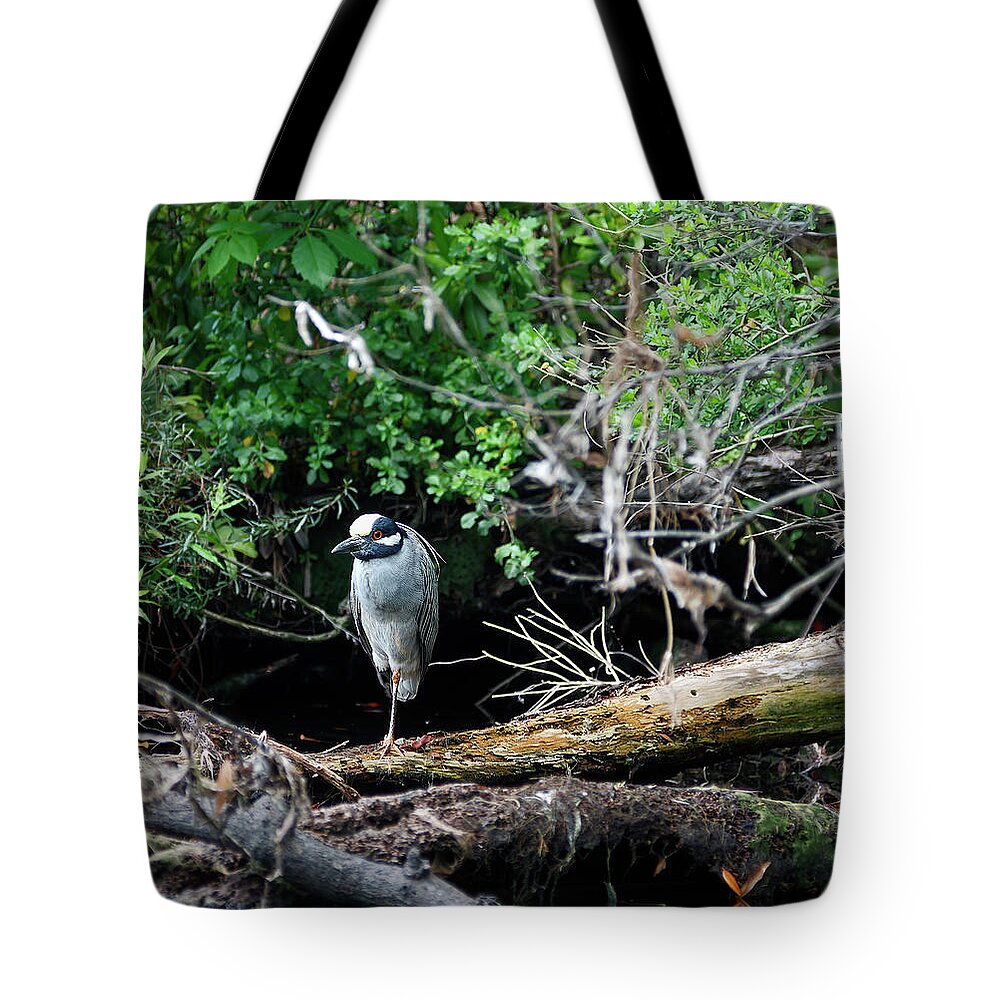 Yellow-crowned Night-heron Tote Bag featuring the photograph Yellow-crowned Night-heron by Sally Weigand