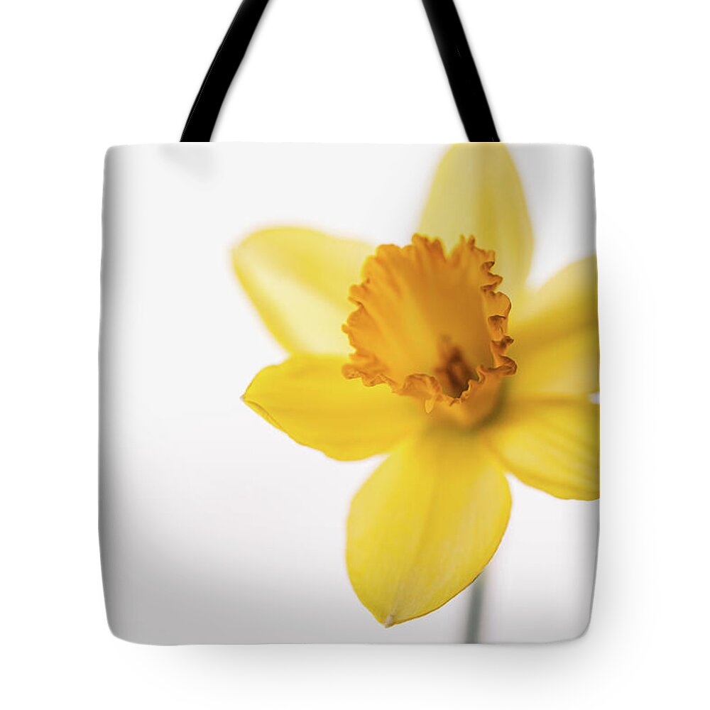 Daffodil Tote Bag featuring the photograph Yellow Daffodil by Ada Weyland