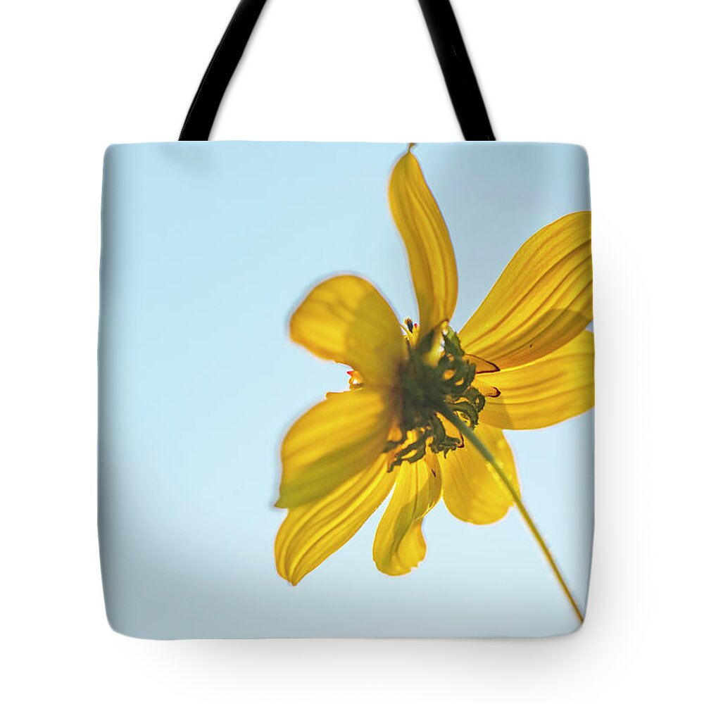 Daisy Tote Bag featuring the photograph Yellow Daisy And Sky by Karen Rispin