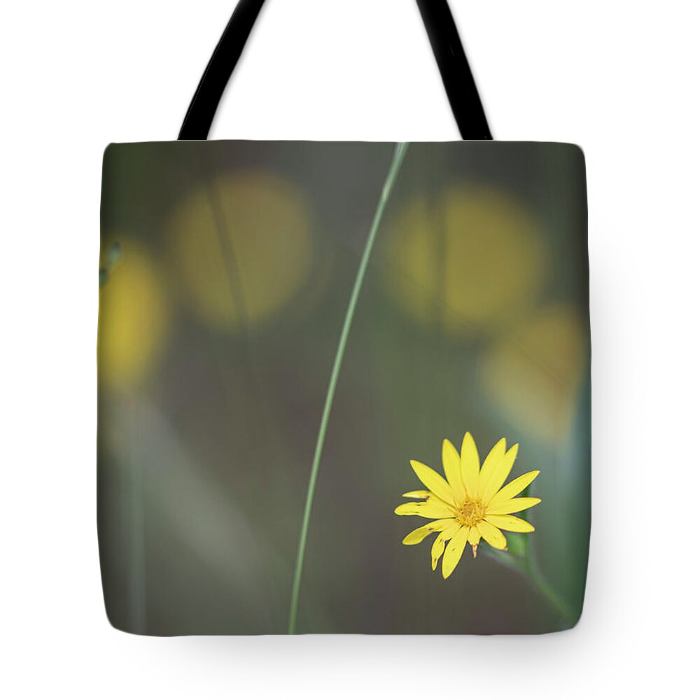 Daisy Tote Bag featuring the photograph Yellow Daisy Close-up by Karen Rispin