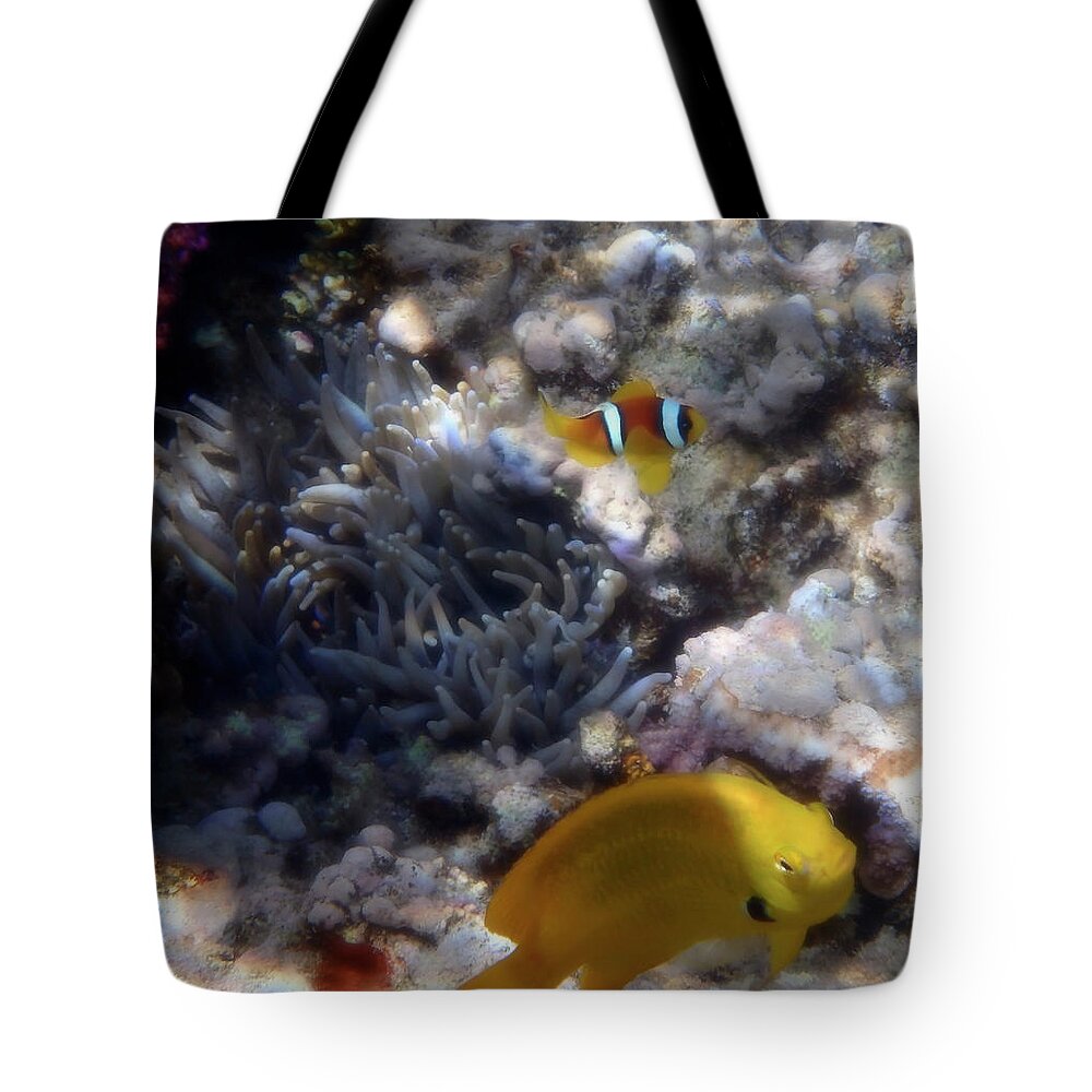Clownfish Tote Bag featuring the photograph Yellow Damsel And Red Sea Clownfish by Johanna Hurmerinta