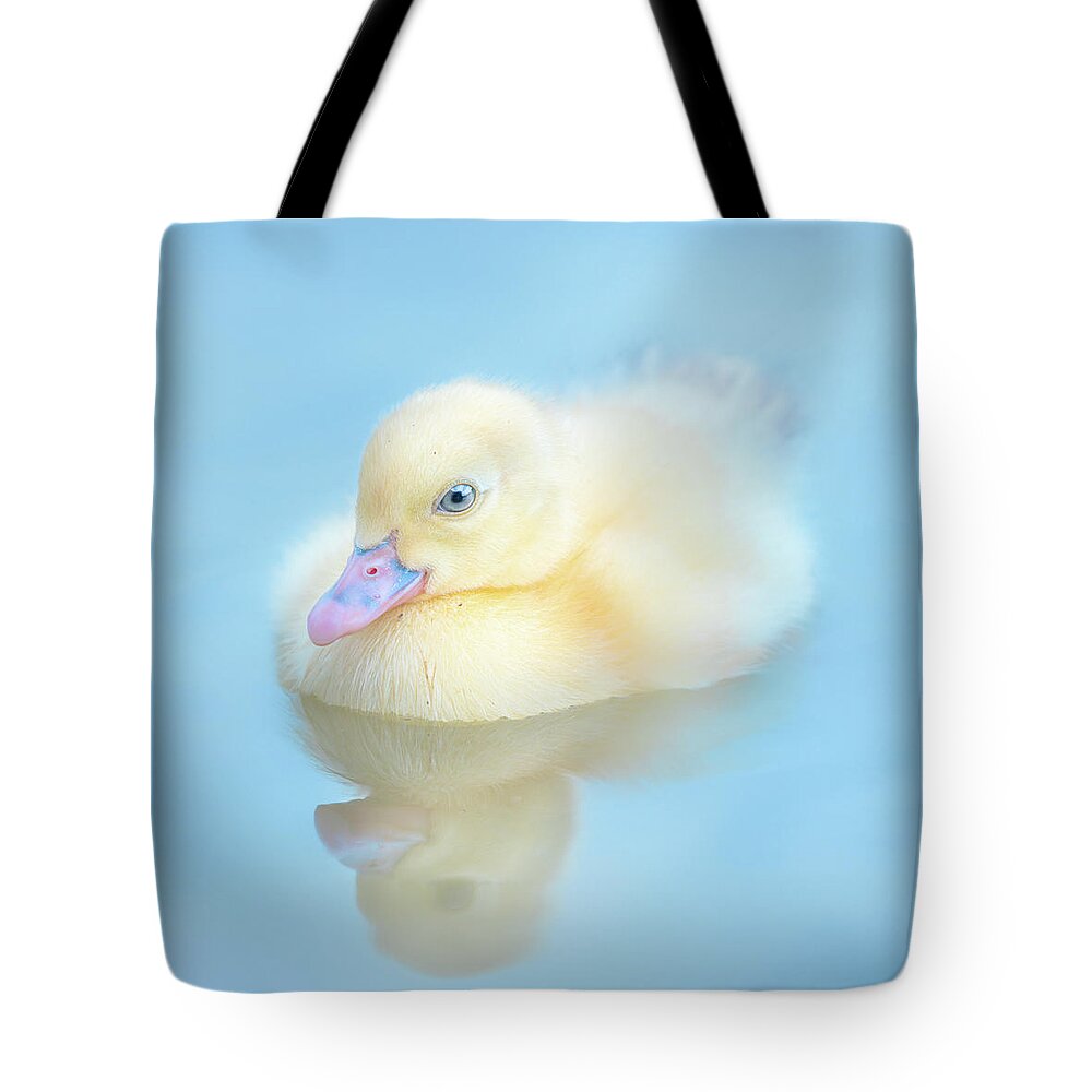 Yellow Duckling Tote Bag featuring the photograph Yellow Duckling Reflections by Jordan Hill