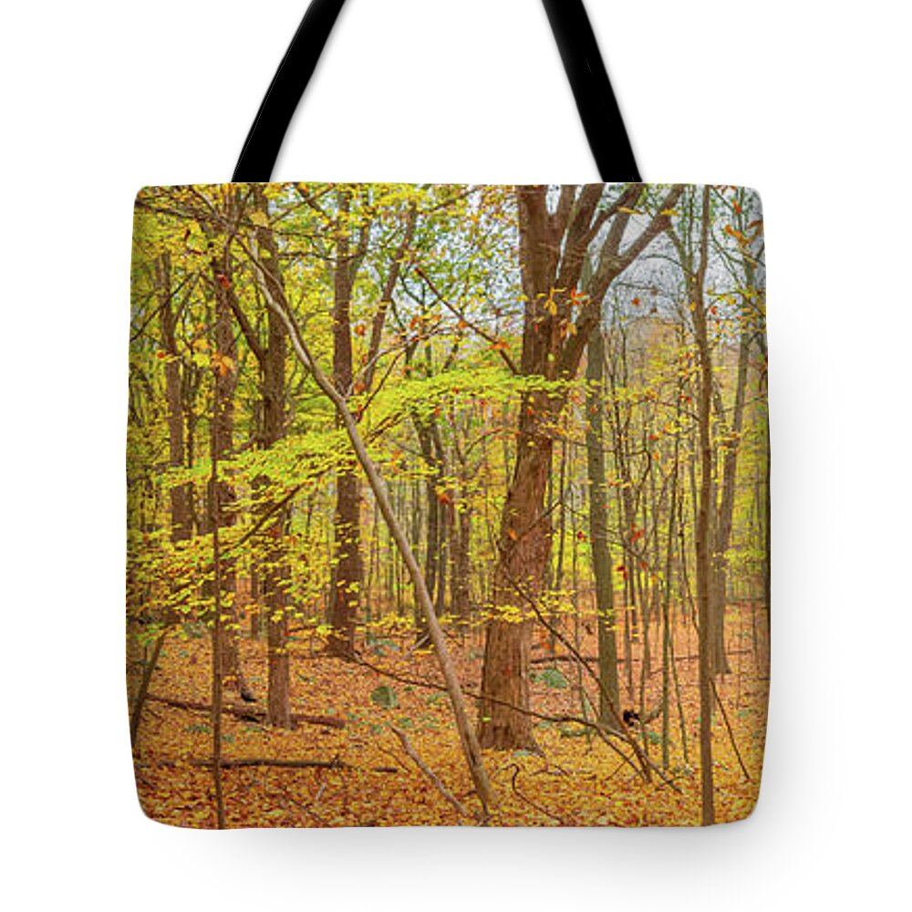 Fall Tote Bag featuring the photograph Yellow Enchanted Forest by Auden Johnson