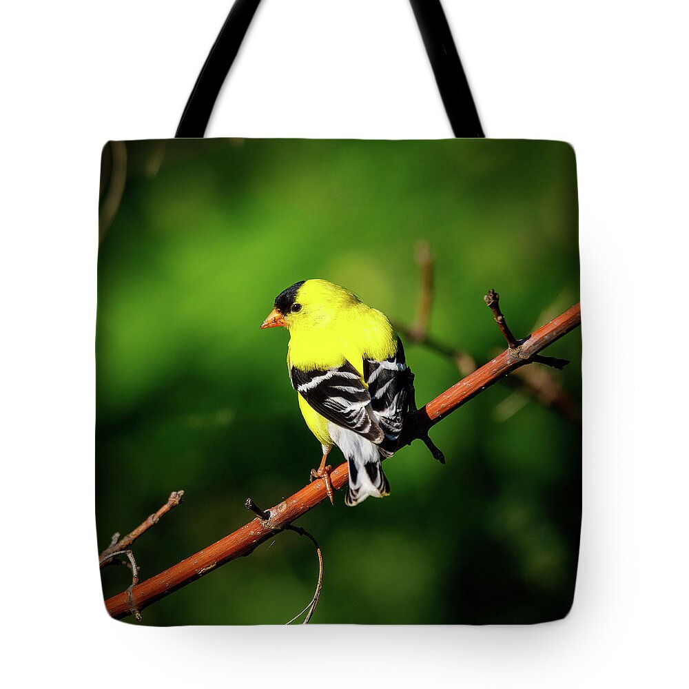 Bird Tote Bag featuring the photograph Yellow Finch by David Beechum