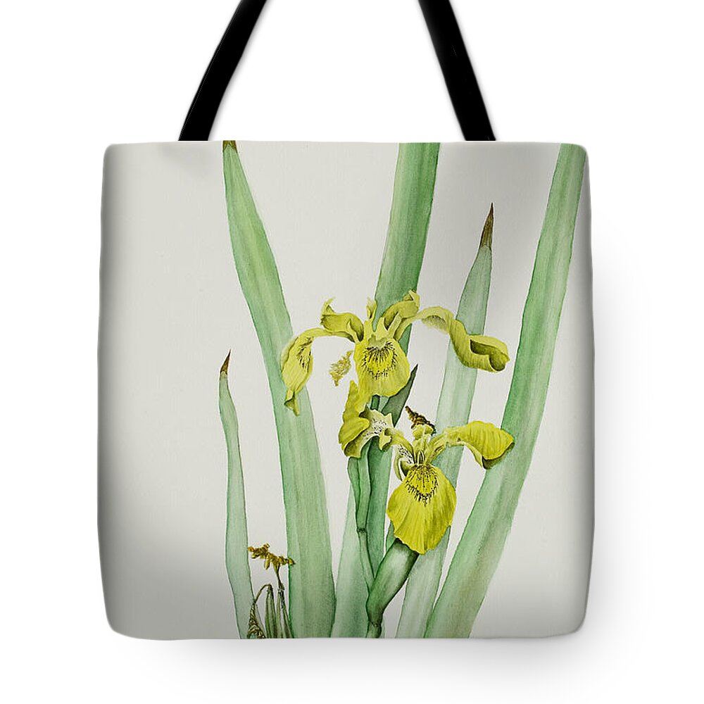 Iris Tote Bag featuring the painting Yellow Flag Iris by Albert Massimi