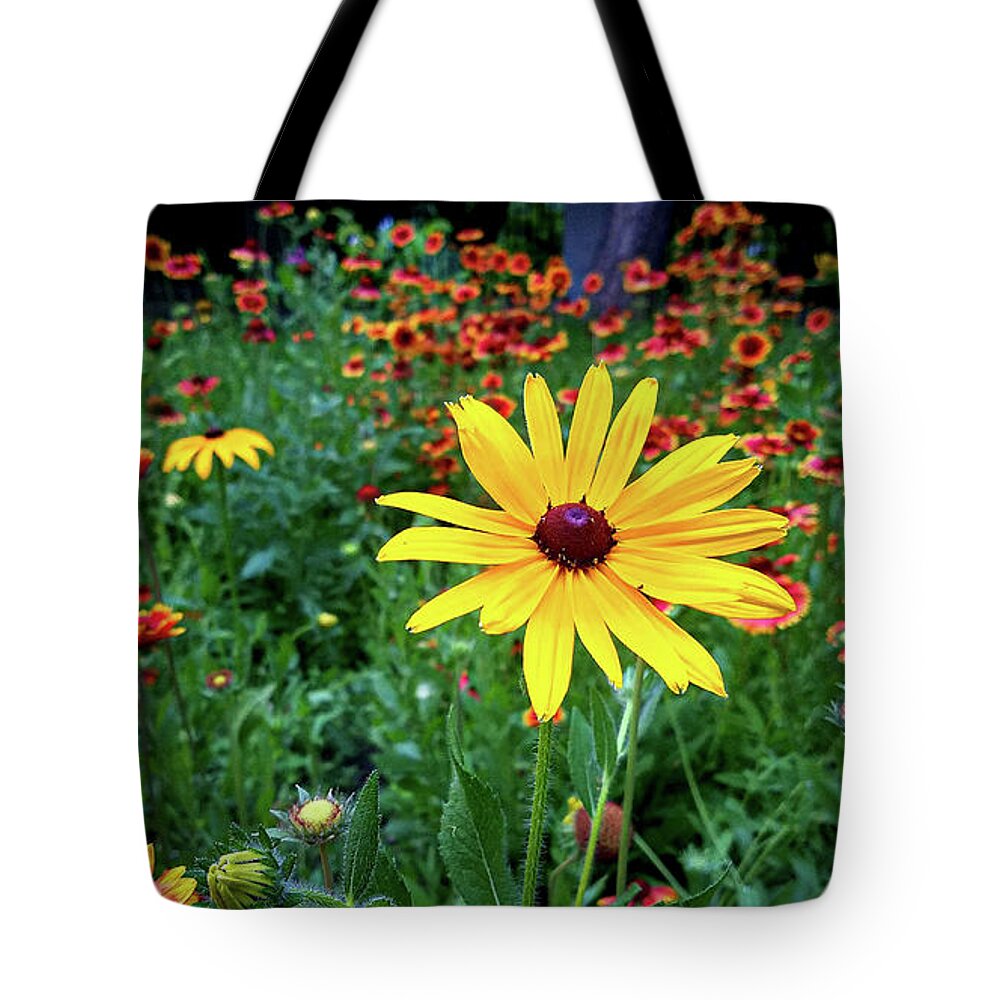 Yellow Flower Field Green Red Tote Bag featuring the photograph Yellow Flower in Field by David Morehead
