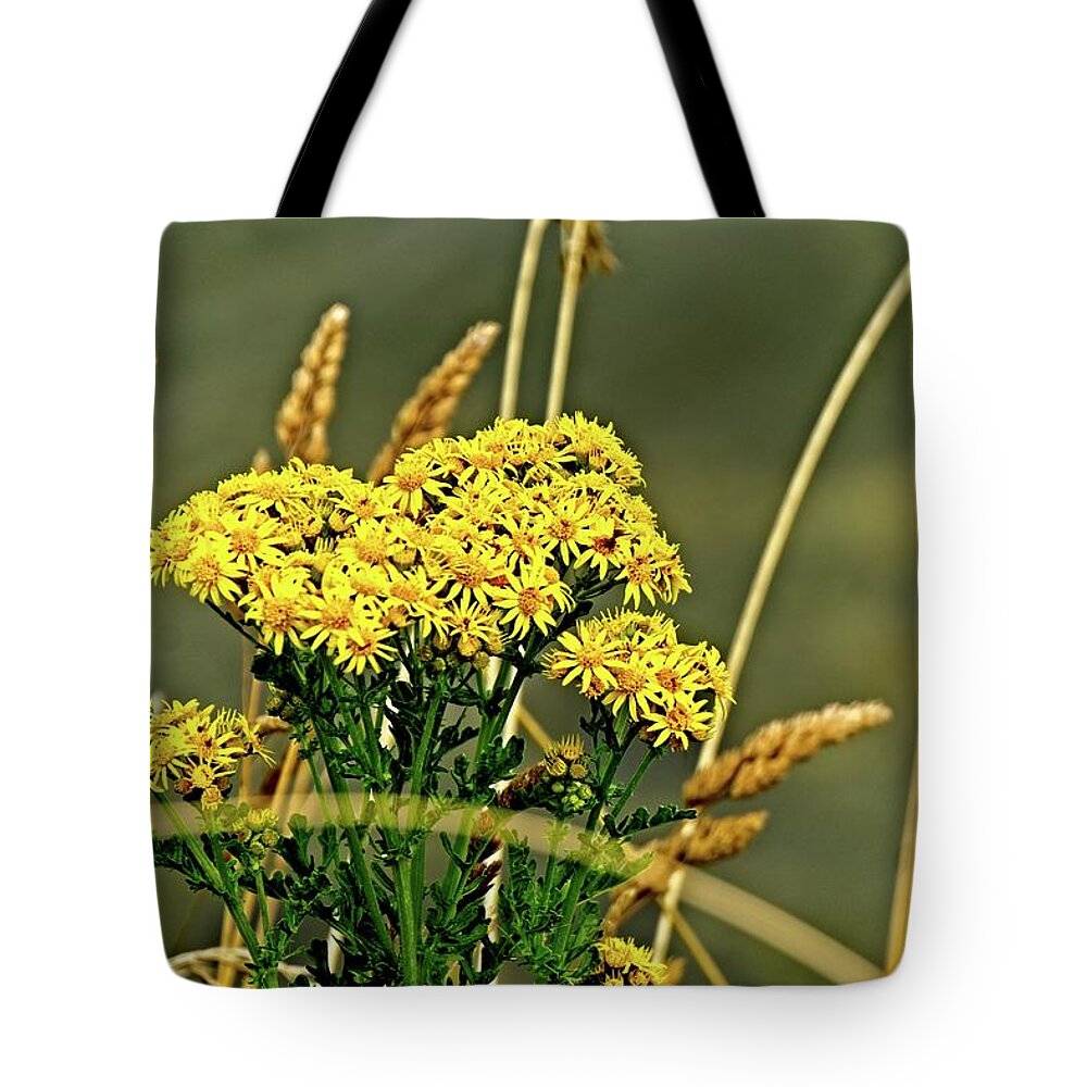 America Tote Bag featuring the photograph Yellow Flowers, Brown Stalks by David Desautel