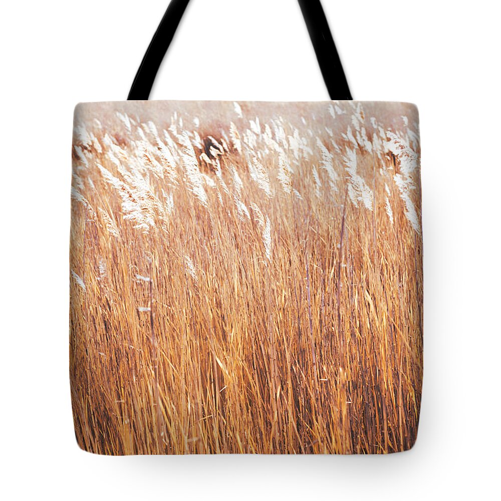 Utah Tote Bag featuring the photograph Yellow Grasses by Mark Gomez