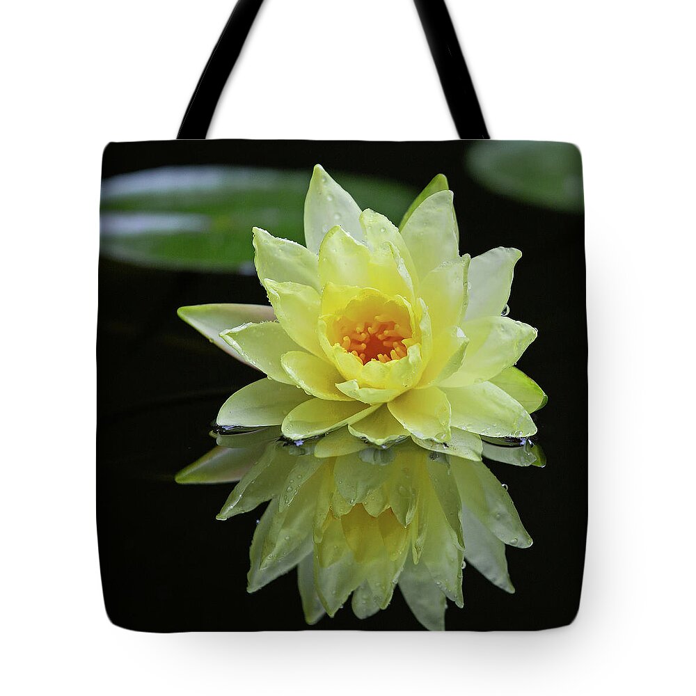 Flower Tote Bag featuring the photograph Yellow Lily Reflection by Gina Fitzhugh