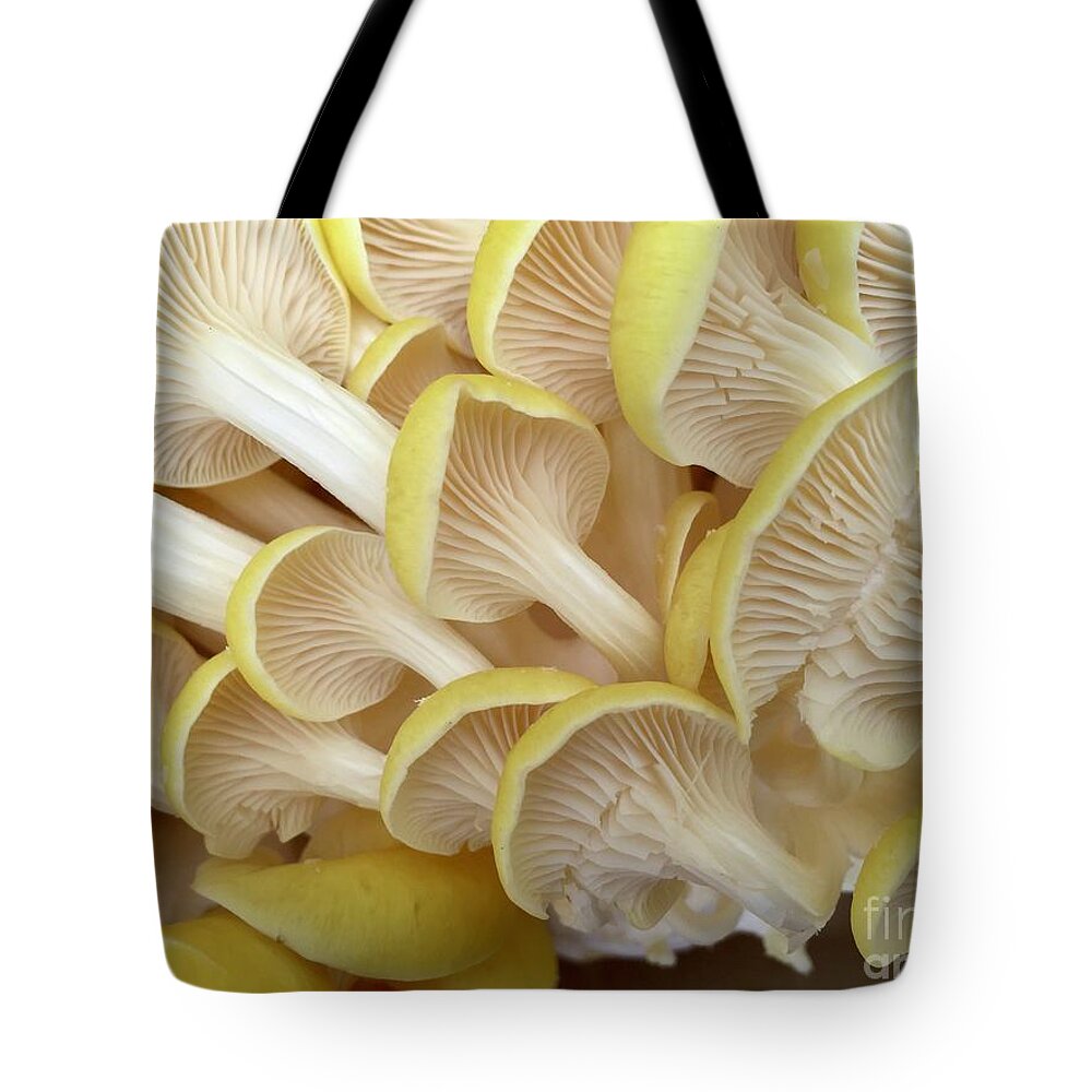 Yellow Mushroom Tote Bag featuring the photograph Yellow Mushroom Series 1-2 by J Doyne Miller