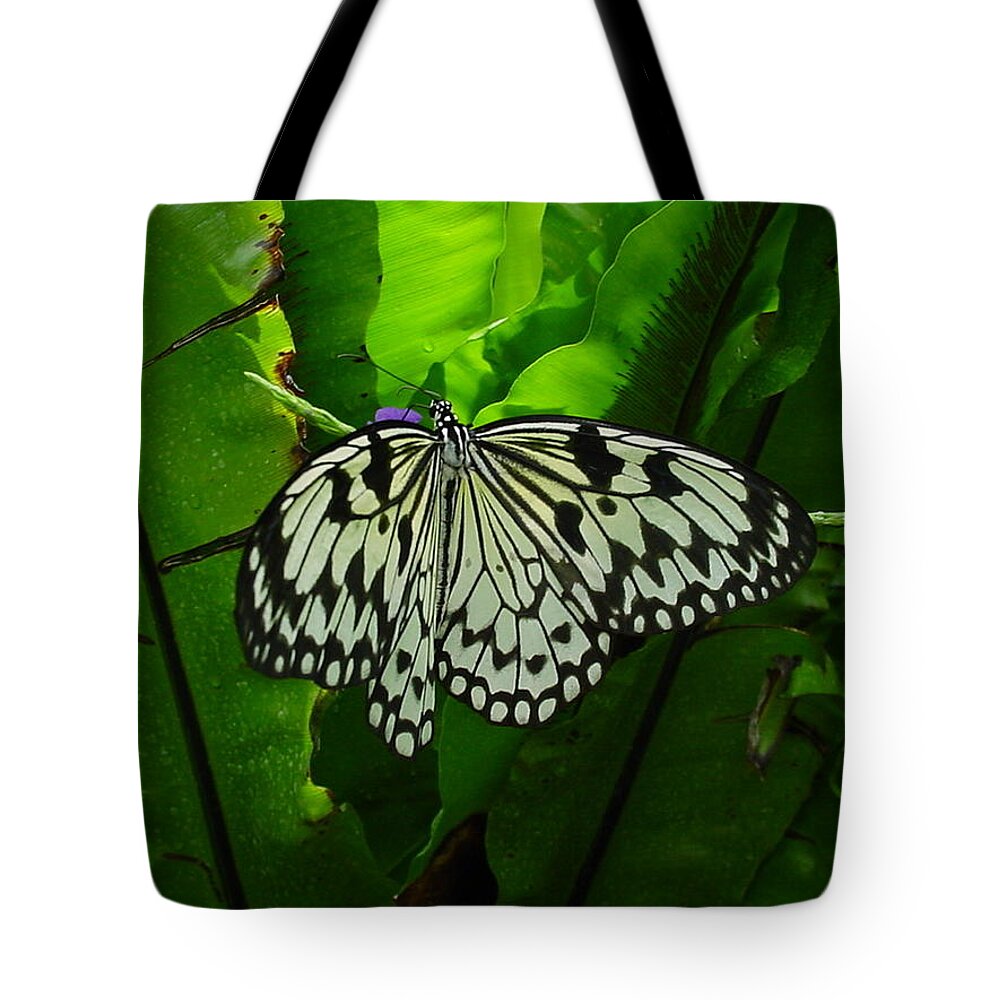 Butterflies Tote Bag featuring the photograph Yellow Painted Lady Butterfly by Pour Your heART Out Artworks