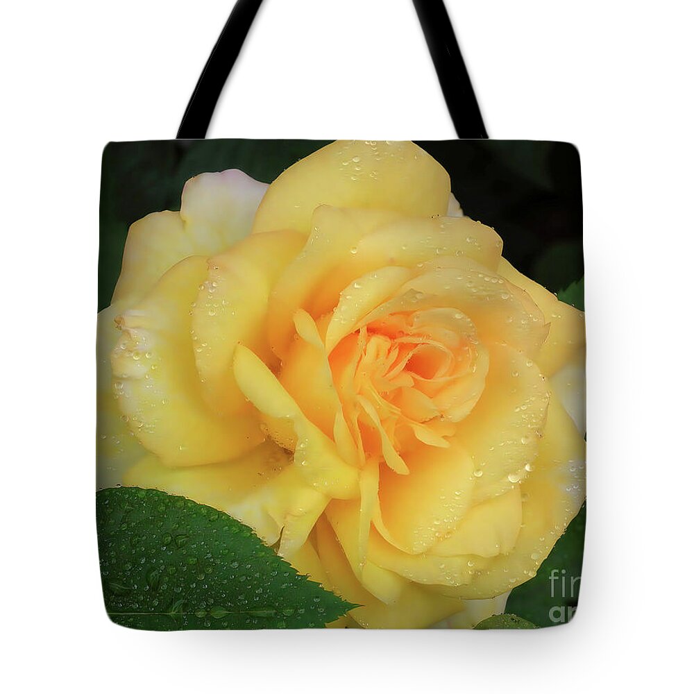 Roses Tote Bag featuring the photograph Yellow Rose Bloom by Scott Cameron