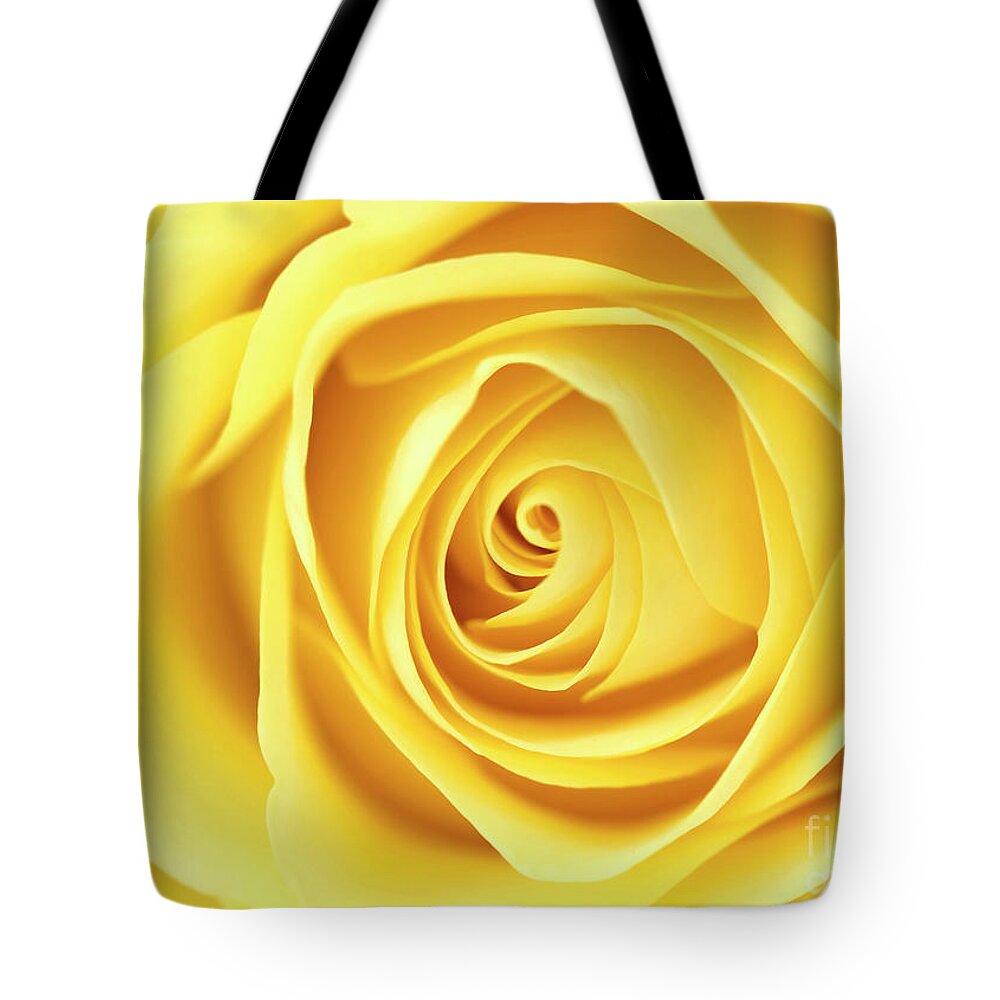 Beauty Tote Bag featuring the photograph Yellow rose by Jane Rix