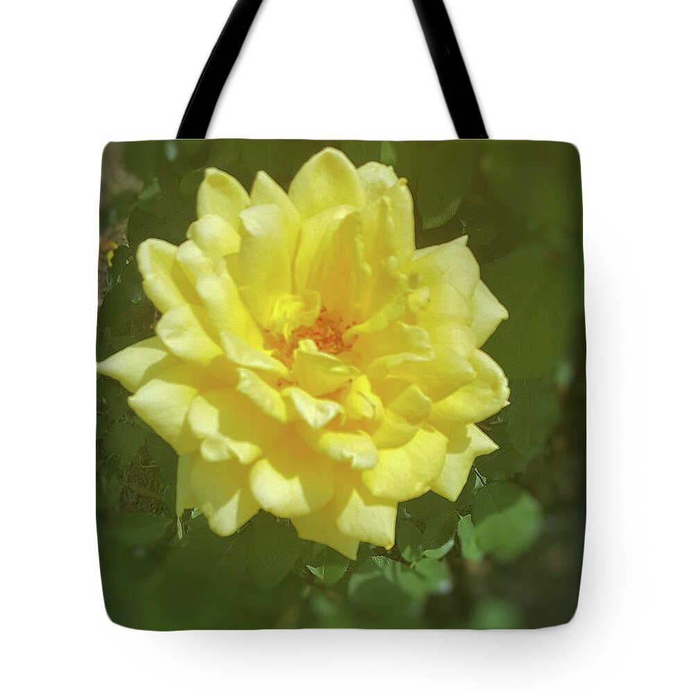 Flowers Tote Bag featuring the photograph Yellow Rose by Pour Your heART Out Artworks