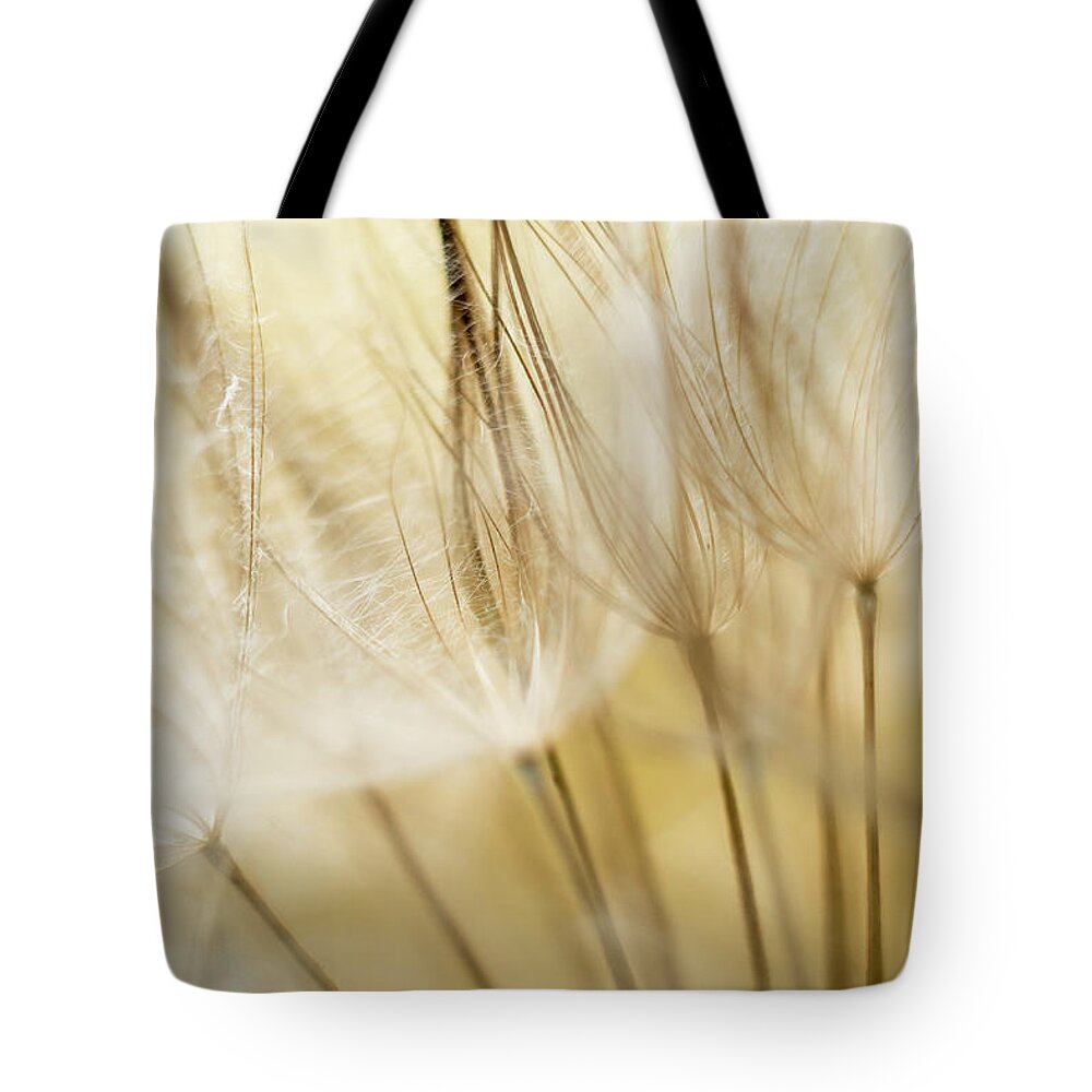 Dandelion Tote Bag featuring the photograph Yellow Spring by Iris Greenwell