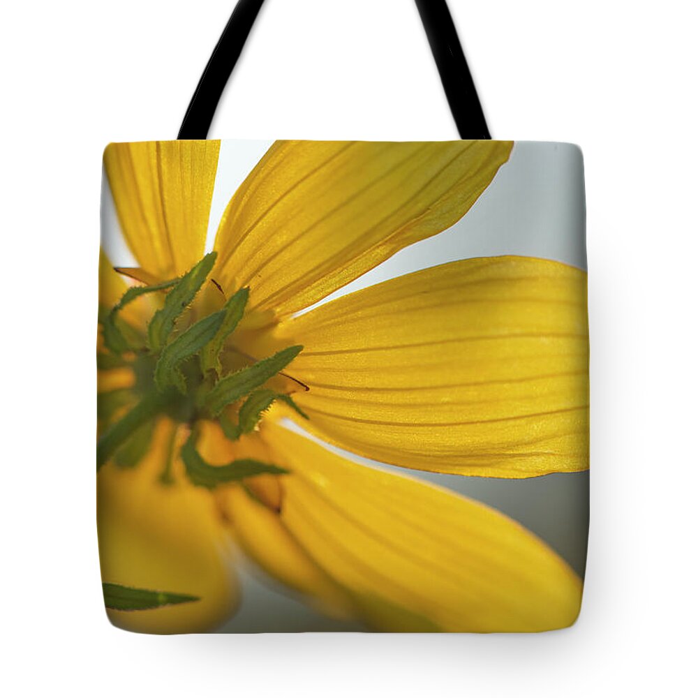 Daisy Tote Bag featuring the photograph Yellow Summer Daisy Macro by Phil And Karen Rispin