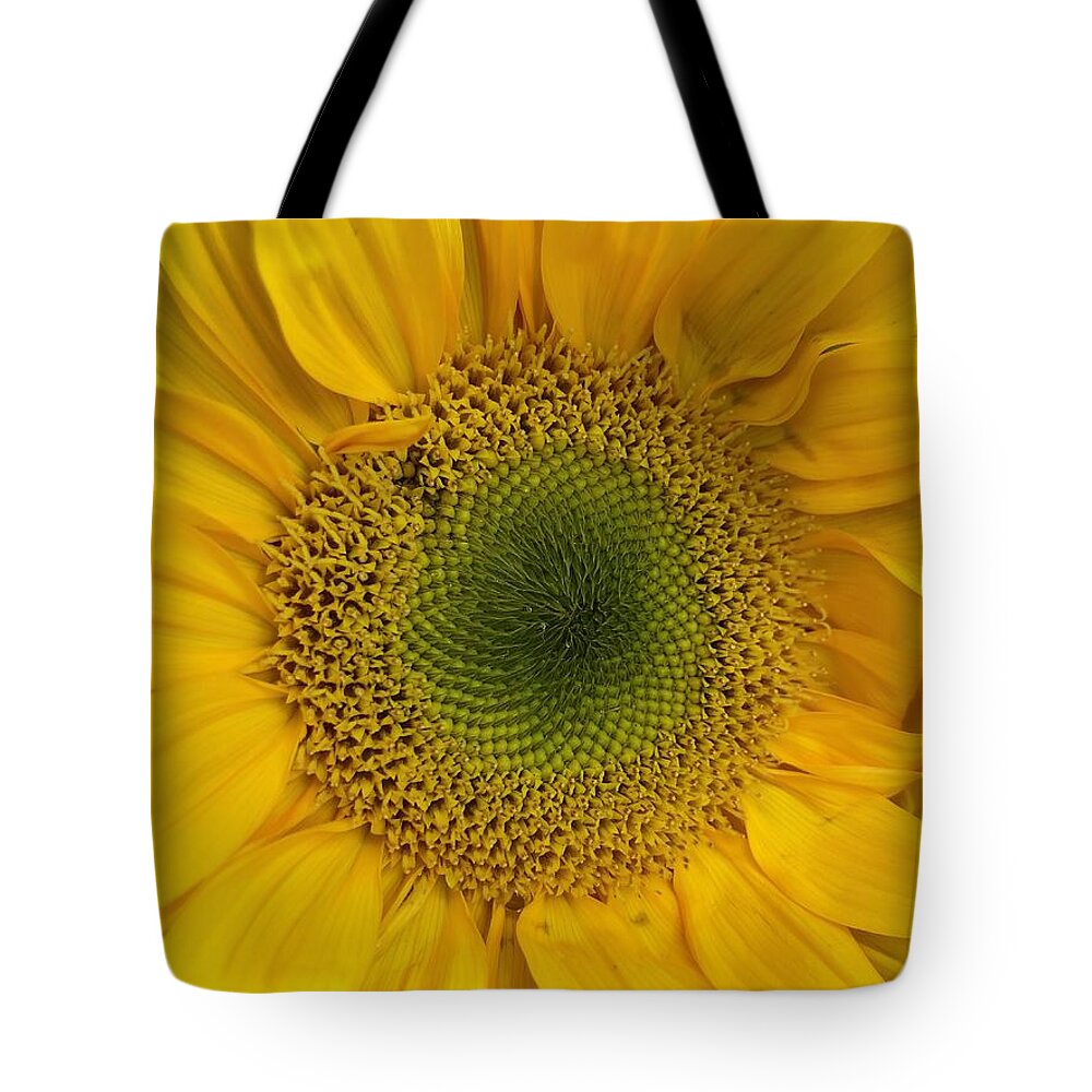 Sunflower Tote Bag featuring the photograph Yellow Sunflower by Lisa Pearlman